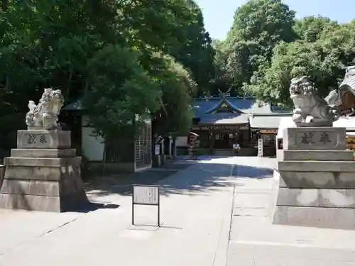 日枝神社水天宮の狛犬