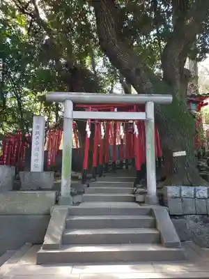乃木神社の鳥居