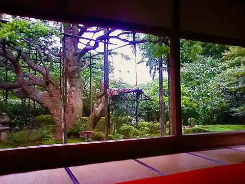 宝泉院(京都府)