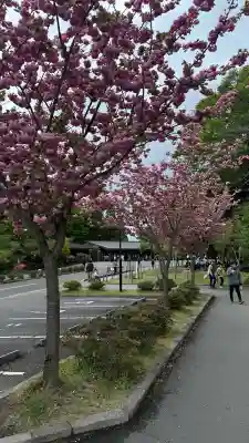 霧島神宮(鹿児島県)