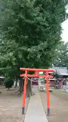 子神社の鳥居