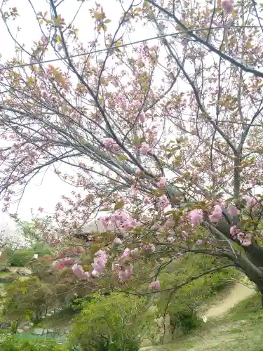 和霊神社の自然