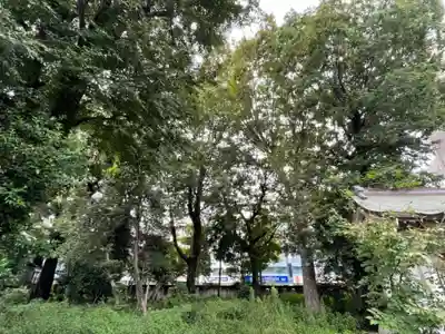 市杵島神社(東京都)