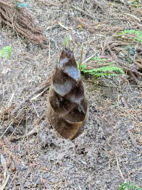 中尊寺(岩手県)