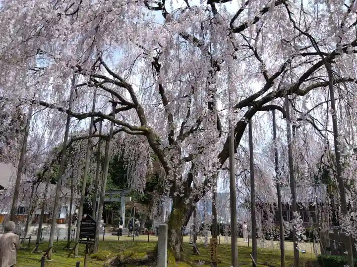 足羽神社(福井県)