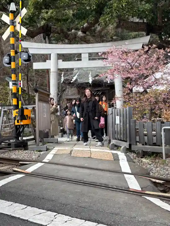 御霊神社(神奈川県)