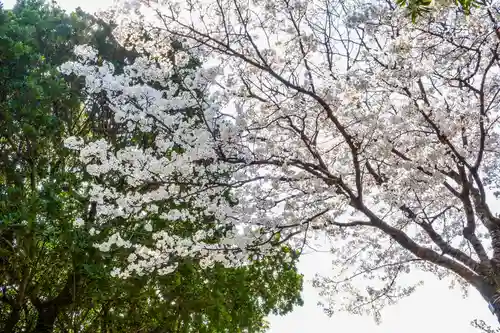 十日恵比須神社(福岡県)