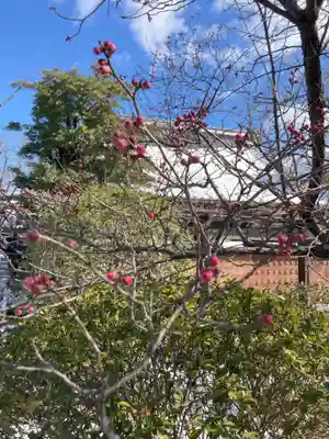 常信寺(三重県)