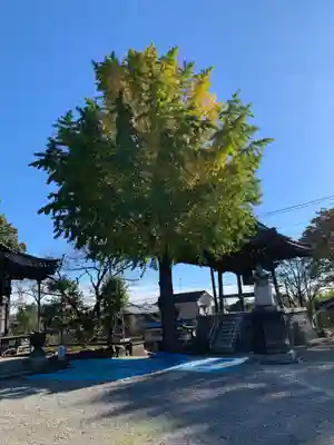 慈恩寺(埼玉県)