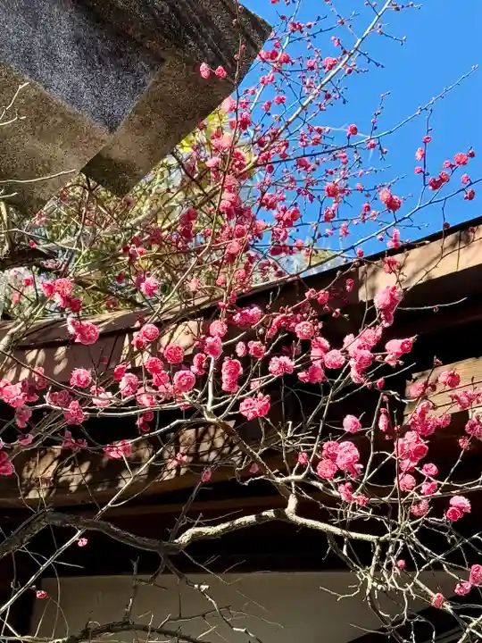 牛天神北野神社(東京都)
