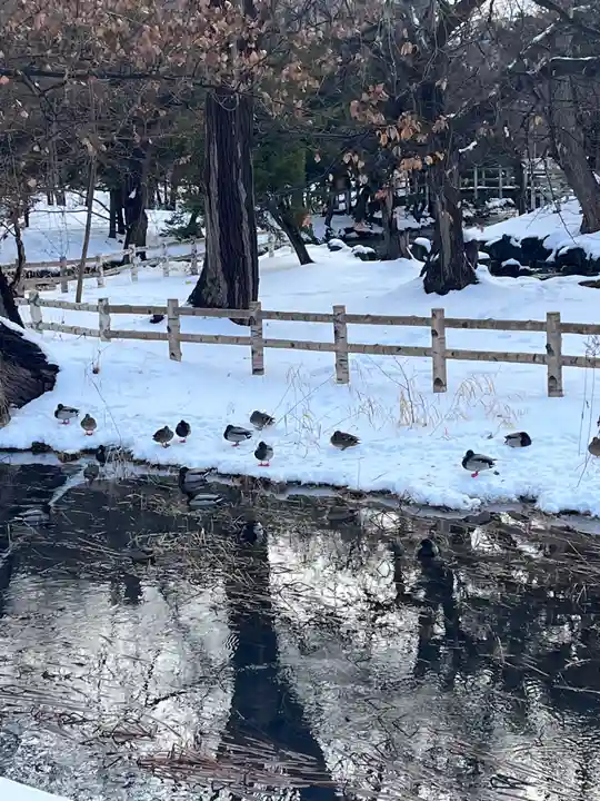 多賀神社の周辺