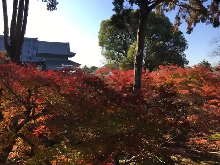 東福禅寺(東福寺)の自然