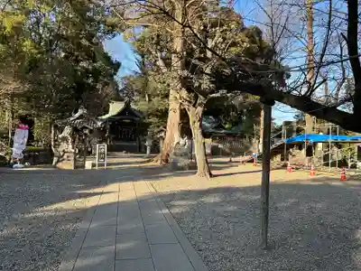 岩槻久伊豆神社(埼玉県)