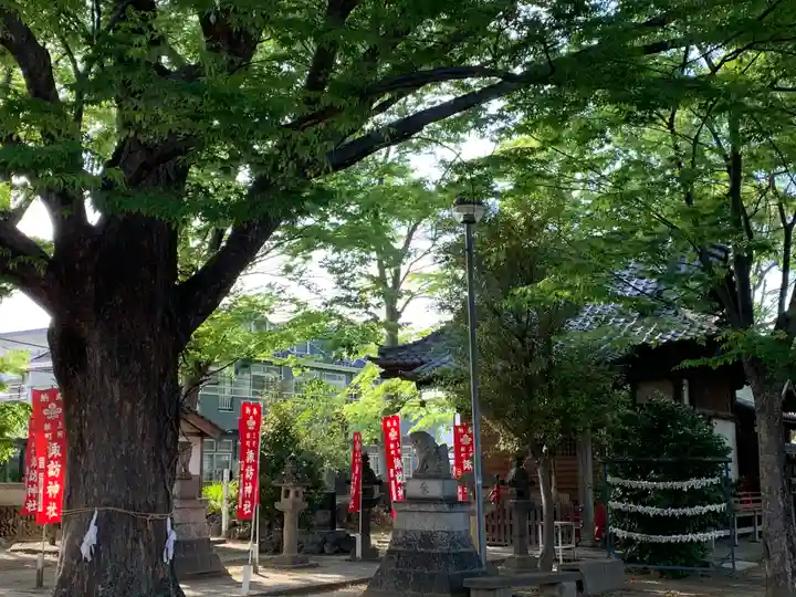 新町諏訪神社(群馬県)
