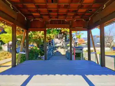 白鬚神社（上中町一色）の本殿・本堂