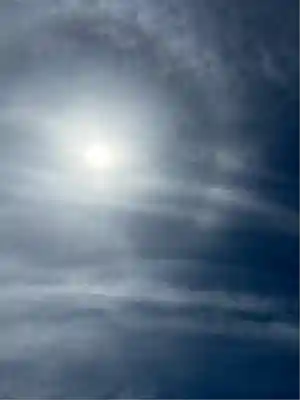 雀神社(茨城県)