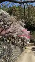 国福大神社(山梨県)
