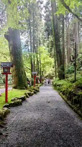 貴船神社(京都府)