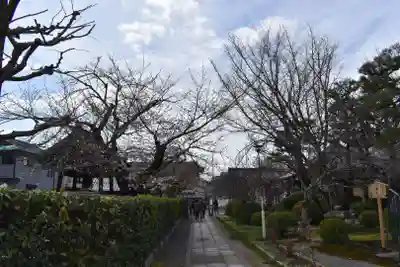 本満寺(本願満足寺)のその他建物