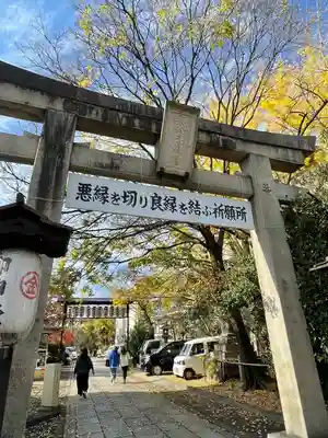 安井金比羅宮の鳥居