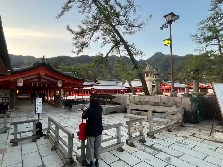 厳島神社の{uncategorized: "未分類", other: "その他", undefined: "問題あり", building: "その他建物", grave: "お墓", sacred_gate: "鳥居", guardian: "狛犬", statue: "像", buddha: "仏像", history: "歴史", nature: "自然", garden: "庭園", animal: "動物", pagoda: "塔", temizu: "手水舎", mountain_gate: "山門・神門", sanctuary: "本殿・本堂", subordinate: "末社・摂社", art: "芸術", scenery: "景色", jizo: "地蔵", ema: "絵馬", goshuin: "御朱印", omikuji: "おみくじ", items: "授与品その他", amulet: "お守り", goshuincho: "御朱印帳", eats: "食事", festival: "お祭り", votive_dance: "神楽", shichigosan: "七五三参", wedding: "結婚式", experience: "体験その他", initially: "初詣", around: "周辺", anti_infection: "感染症対策"}
