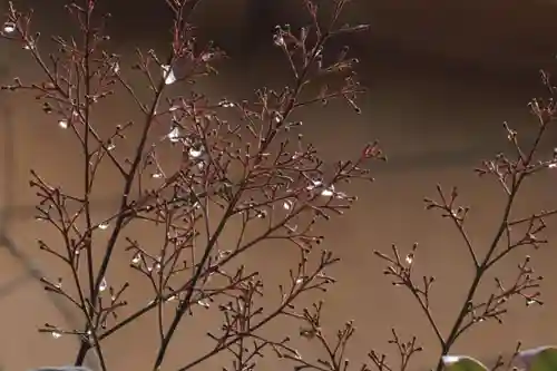 阿邪訶根神社の自然