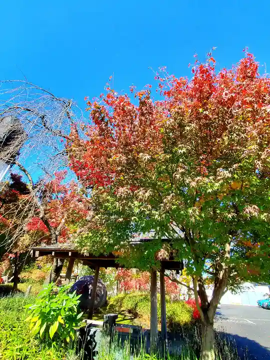 萬寿神社の自然