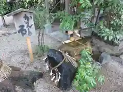 堀越神社の狛犬