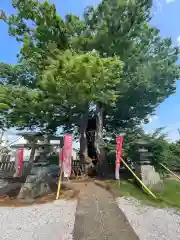 三ッ木神社(埼玉県)