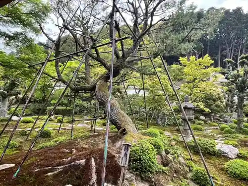 金剛寺(大阪府)