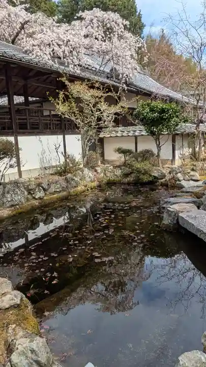 十輪寺(京都府)