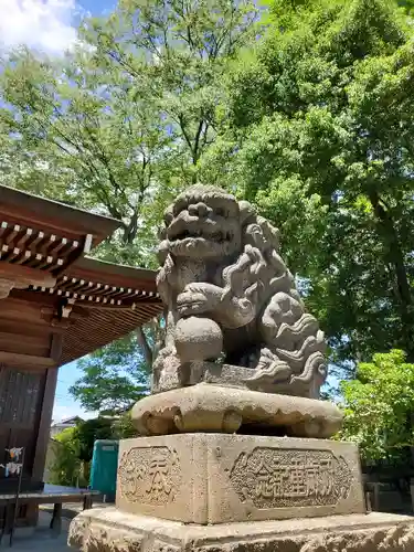 熊野福藏神社の狛犬