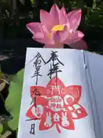 白山神社の御朱印