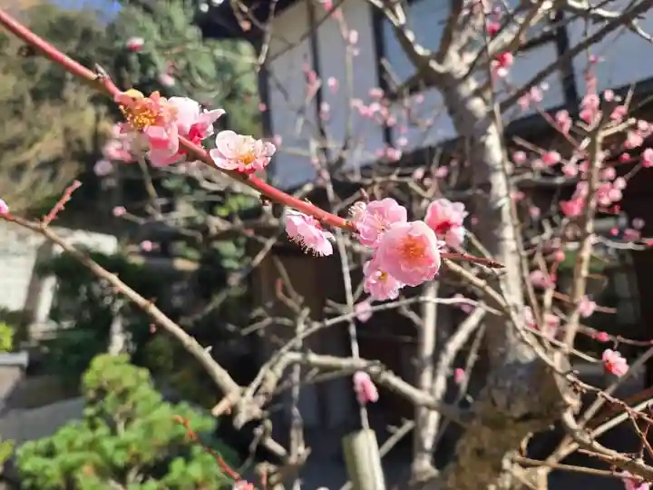 慈眼寺(大阪府)