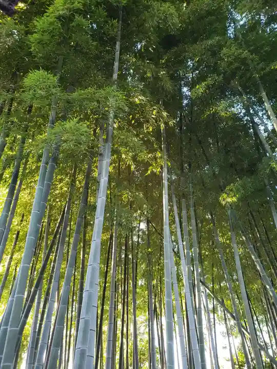 慈宏寺(東京都)