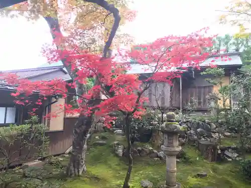 慈恩護国禅寺の庭園