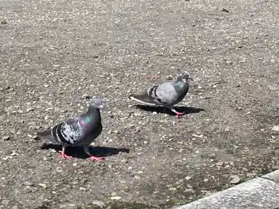 今市報徳二宮神社(栃木県)