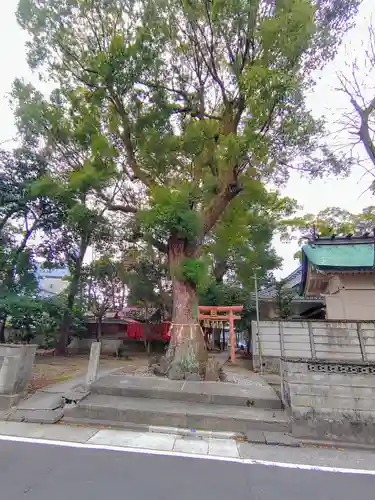 綿神社の自然