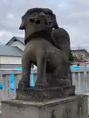 美瑛神社の狛犬