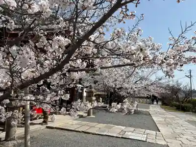 安岡寺(大阪府)