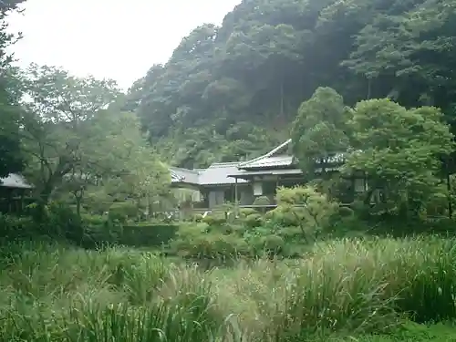 回春院の景色