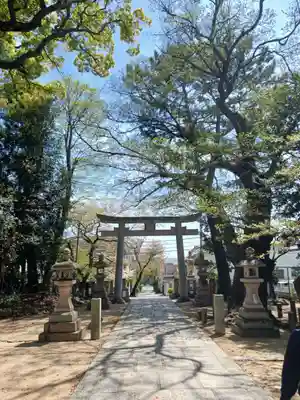 弓弦羽神社(兵庫県)