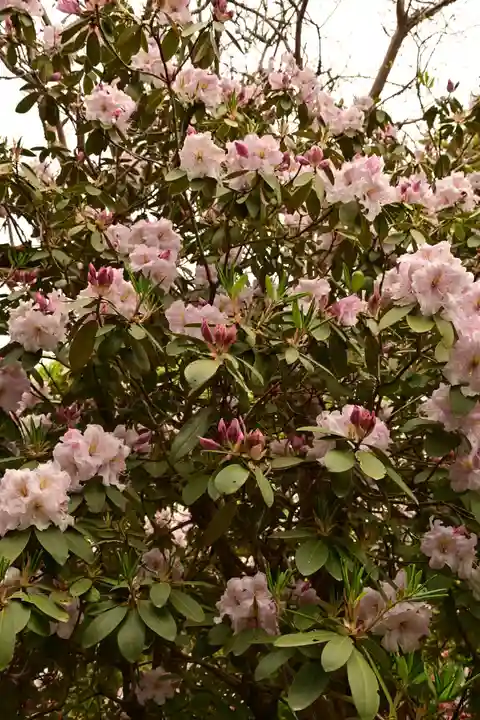 正福寺(茨城県)