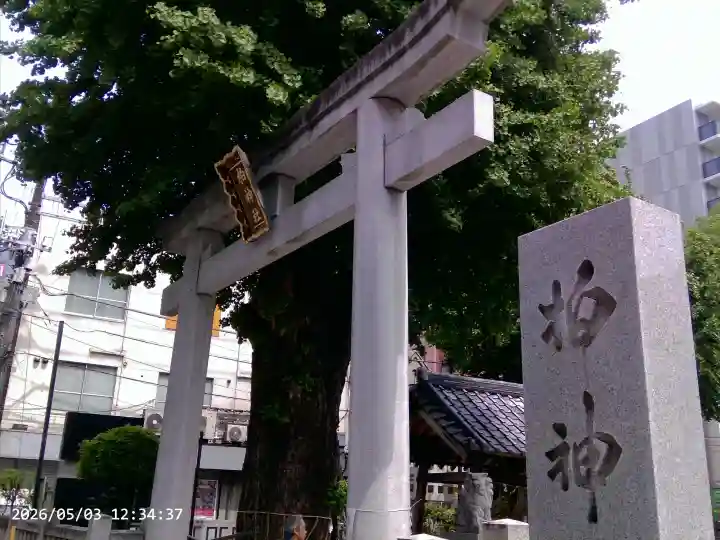 柏神社の{uncategorized: "未分類", other: "その他", undefined: "問題あり", building: "その他建物", grave: "お墓", sacred_gate: "鳥居", guardian: "狛犬", statue: "像", buddha: "仏像", history: "歴史", nature: "自然", garden: "庭園", animal: "動物", pagoda: "塔", temizu: "手水舎", mountain_gate: "山門・神門", sanctuary: "本殿・本堂", subordinate: "末社・摂社", art: "芸術", scenery: "景色", jizo: "地蔵", ema: "絵馬", goshuin: "御朱印", omikuji: "おみくじ", items: "授与品その他", amulet: "お守り", goshuincho: "御朱印帳", eats: "食事", festival: "お祭り", votive_dance: "神楽", shichigosan: "七五三参", wedding: "結婚式", experience: "体験その他", initially: "初詣", around: "周辺", anti_infection: "感染症対策"}