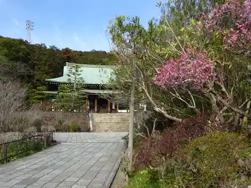 龍寳寺（龍宝寺）の建物その他