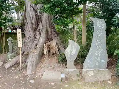 星宮神社(栃木県)
