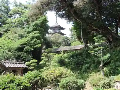 妙成寺(石川県)
