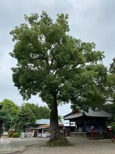 鷲宮神社のその他建物