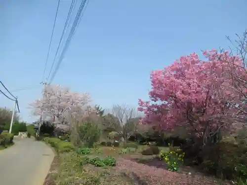 真光寺(千葉県)