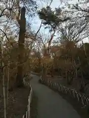 明治神宮の庭園